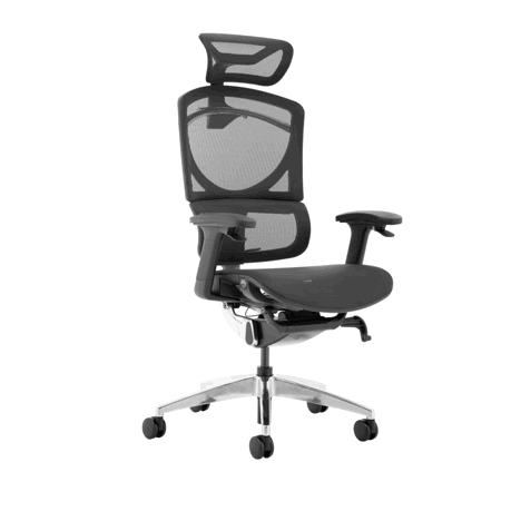 Ergo Click Plus High Back Ergonomic Posture Office Chair