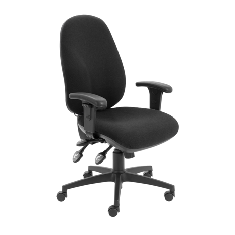 Maxi Ergo Ergonomic Chair - Black - T Adjustable