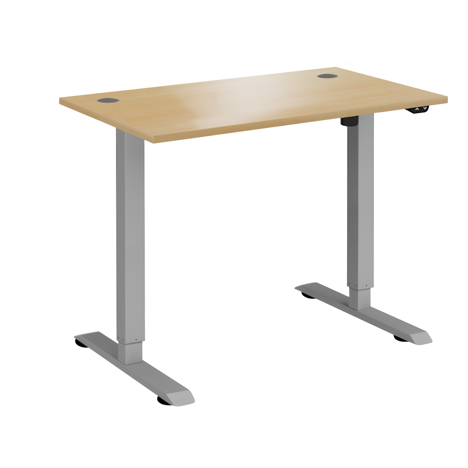 Electric Ergonomic Sit-Stand Workstation - 1000 - Silver Frame - Oak