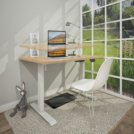 Single Motor Electric Ergonomic Sit-Stand Desk