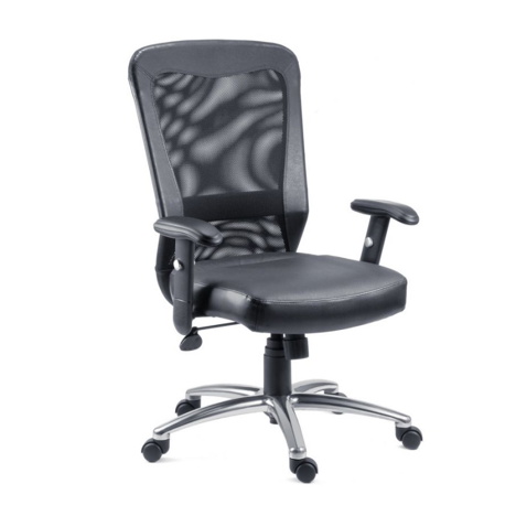 Breeze Executive Mesh Back Chair