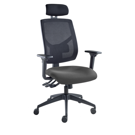 Vision High Back Mesh Chair - Headrest - Adjustable Arms - Paseo