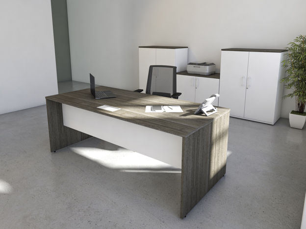 Executive Panel End Desking