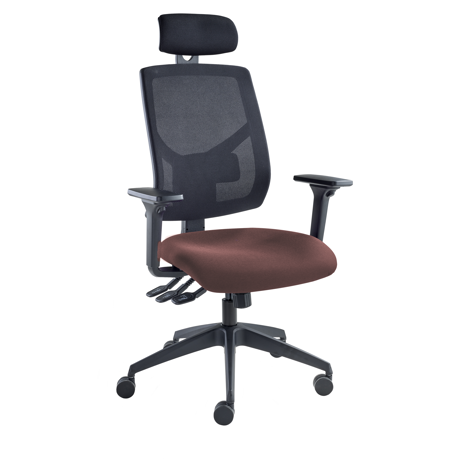 Vision High Back Mesh Chair - Headrest - Adjustable Arms - Guyana