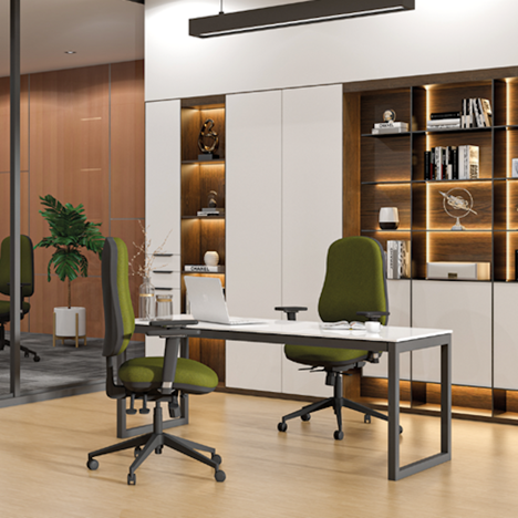 Ergo Plus Task Chair