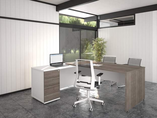 Executive Panel End Desking