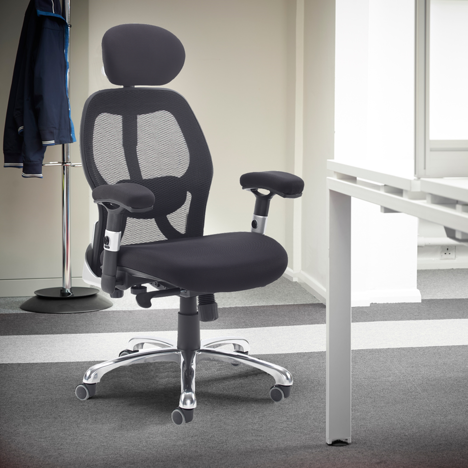 Sandro Mesh Back Executive Chair